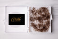 Color Lash 5D Fans