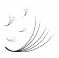 Promade 5D Fans